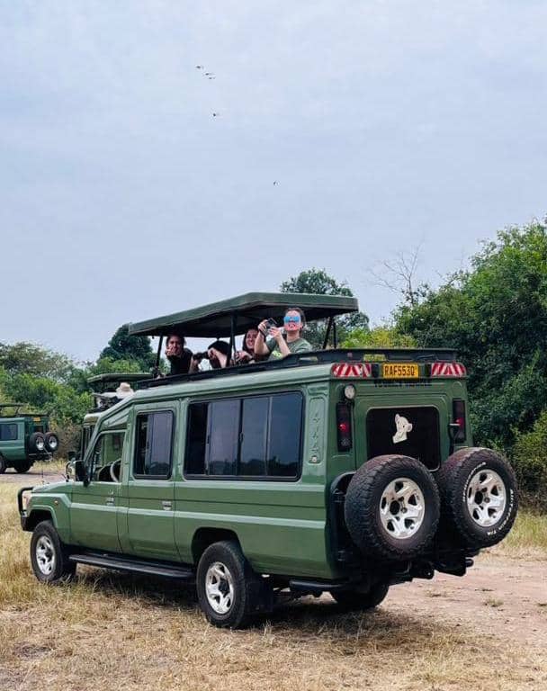 Safari Land Cruiser